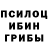 Псилоцибиновые грибы MAGIC MUSHROOMS Namig Khudatov
