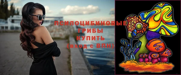амф Магас