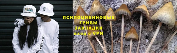 таблы Майский