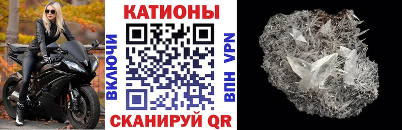 МЯУ-МЯУ мяу мяу  Купить где  Петров Вал 